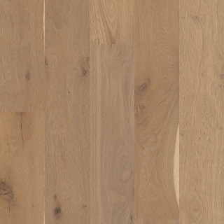 Picture of Shaw Floors - Perspectives Alla Prima