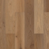 Picture of Shaw Floors - Perspectives Freeform