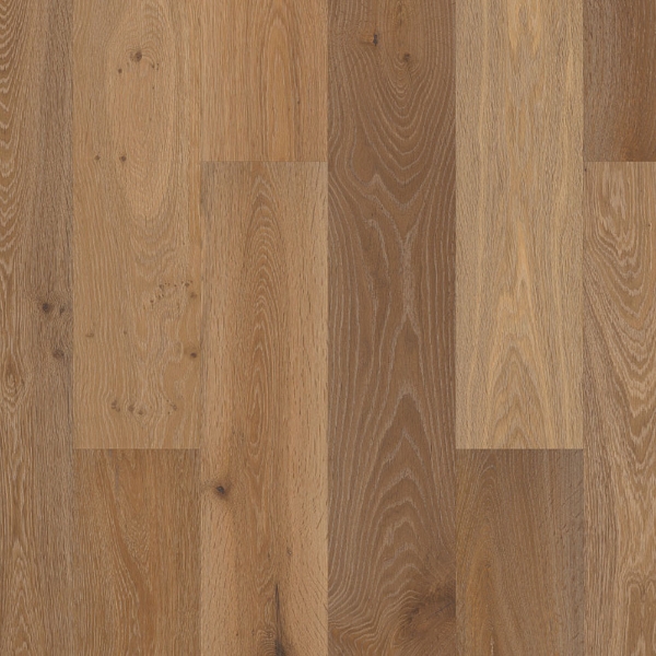 Picture of Shaw Floors - Perspectives Freeform