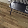 Picture of Shaw Floors - Perspectives Freeform