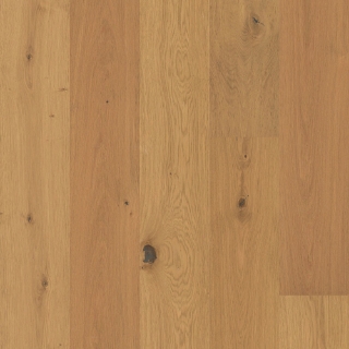 Picture of Shaw Floors - Transcendent Harvest Oak