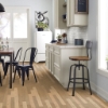 Picture of Shaw Floors - Utmost Endeavor