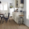 Picture of Shaw Floors - Utmost Grounded