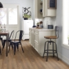 Picture of Shaw Floors - Utmost Intent
