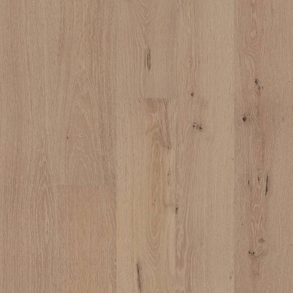 Picture of Shaw Floors - Utmost Purpose