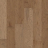 Picture of Shaw Floors - West Valley Sunkissed