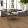Picture of Shaw Floors - West Valley Sunkissed