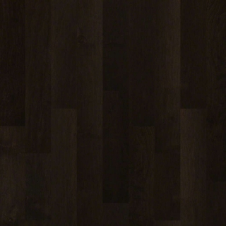 Picture of Shaw Floors - Pacific Grove Midnight