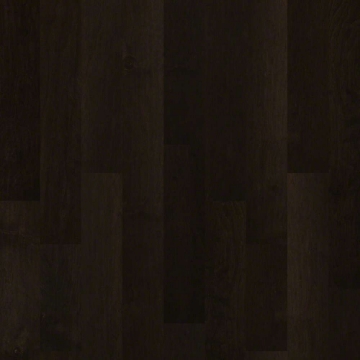 Picture of Shaw Floors - Pacific Grove Midnight