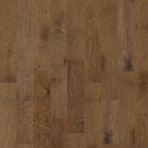 Picture of Shaw Floors - Riverstone Vintage