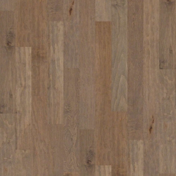 Picture of Shaw Floors - Coral Springs Oceanside