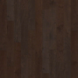 Picture of Shaw Floors - Ocala Bayfront