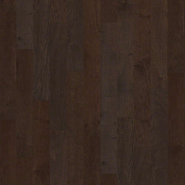 Picture of Shaw Floors - Ocala Bayfront