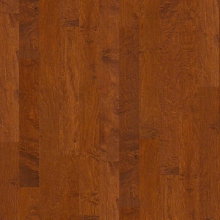 Picture of Shaw Floors - Ocala Burnside