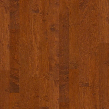 Picture of Shaw Floors - Ocala Burnside