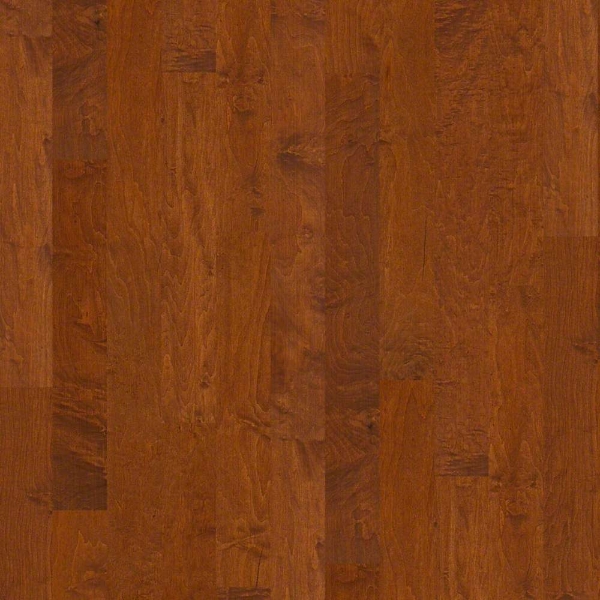 Picture of Shaw Floors - Ocala Burnside