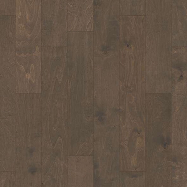 Picture of Shaw Floors - Biscayne Bay Windsurf