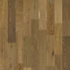 Picture of Shaw Floors - Expressions 7.5 Prose