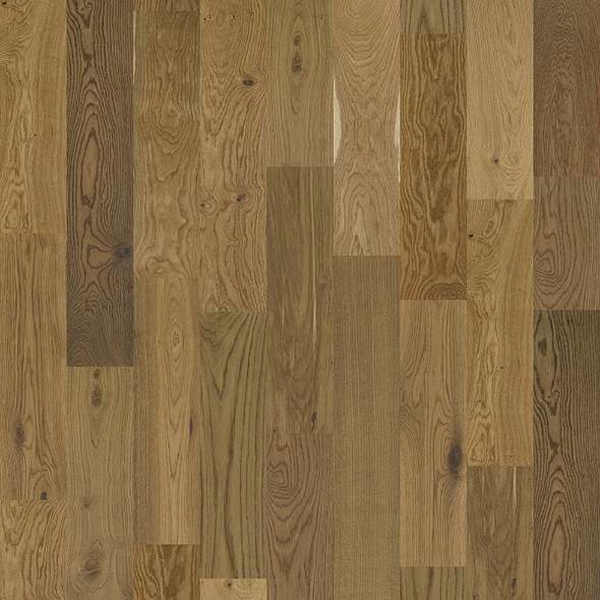 Picture of Shaw Floors - Expressions 7.5 Prose