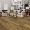 Picture of Shaw Floors - Expressions 7.5 Prose