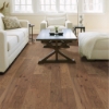Picture of Shaw Floors - Arbor Place Trellis
