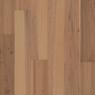 Picture of Shaw Floors - Sanctuary Hickory Mindful
