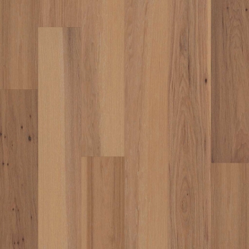 Picture of Shaw Floors - Sanctuary Hickory Mindful