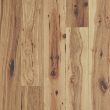 Picture of Shaw Floors - Sanctuary Hickory Reunion