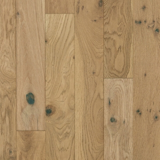 Picture of Shaw Floors - Apex Oak Travertine