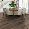 Picture of Shaw Floors - Flat Iron 5 Hide