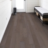 Picture of Shaw Floors - Campbell Creek Smooth Greystone