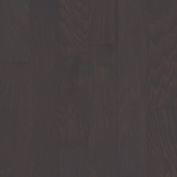Picture of Shaw Floors - All In II 5 Charcoal
