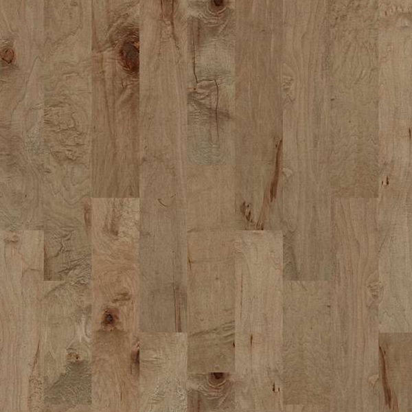 Picture of Shaw Floors - Terrace Maple Gold Dust