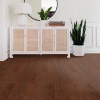 Picture of Shaw Floors - All In II 3.25 Hazelnut