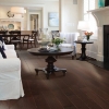 Picture of Shaw Floors - Palm Beach II Conway