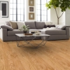 Picture of Shaw Floors - All In II 5 Rustic Natural