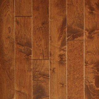 Picture of Shaw Floors - Palm Beach II Burnside