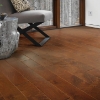 Picture of Shaw Floors - Palm Beach II Burnside