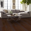 Picture of Shaw Floors - All In II 5 Coffee Bean