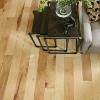 Picture of Shaw Floors - Palm Beach II Maple Natural