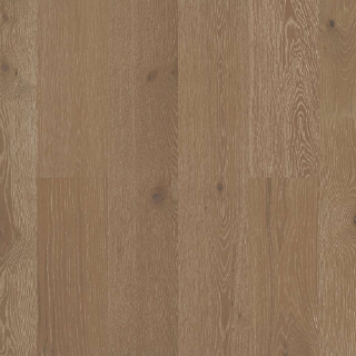 Picture of Shaw Floors - Citadel Majesty