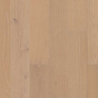 Picture of Shaw Floors - Citadel Countess