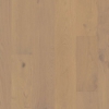 Picture of Shaw Floors - Citadel Duchess