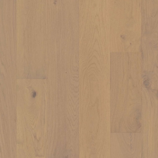 Picture of Shaw Floors - Citadel Duchess