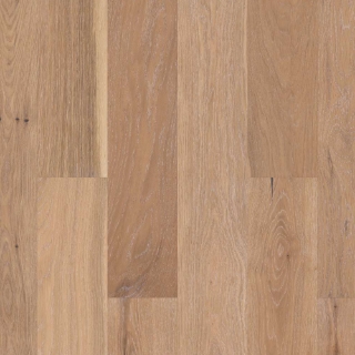 Picture of Shaw Floors - Citadel Sovereign