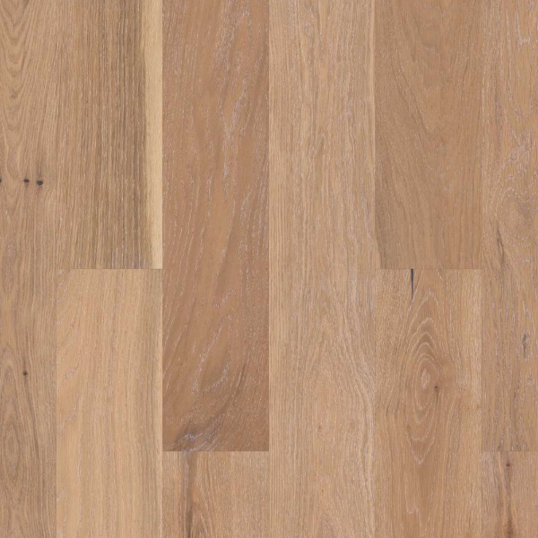 Picture of Shaw Floors - Citadel Sovereign