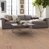 Picture of Shaw Floors - Elegance Oak Meringue