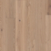 Picture of Shaw Floors - Elegance Oak Applique