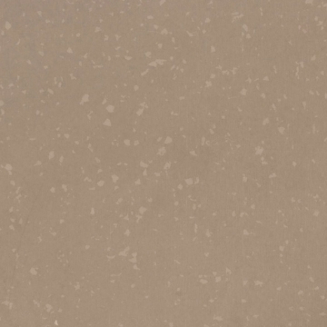 Picture of Flexco - Geodesy 12 x 24 080 Earth