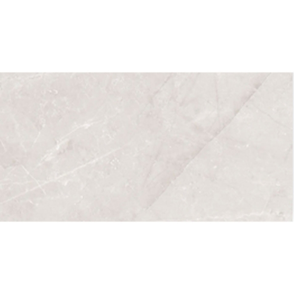 Picture of Roca - Jewels 24 x 48 Etienne Light Gray Matte discod